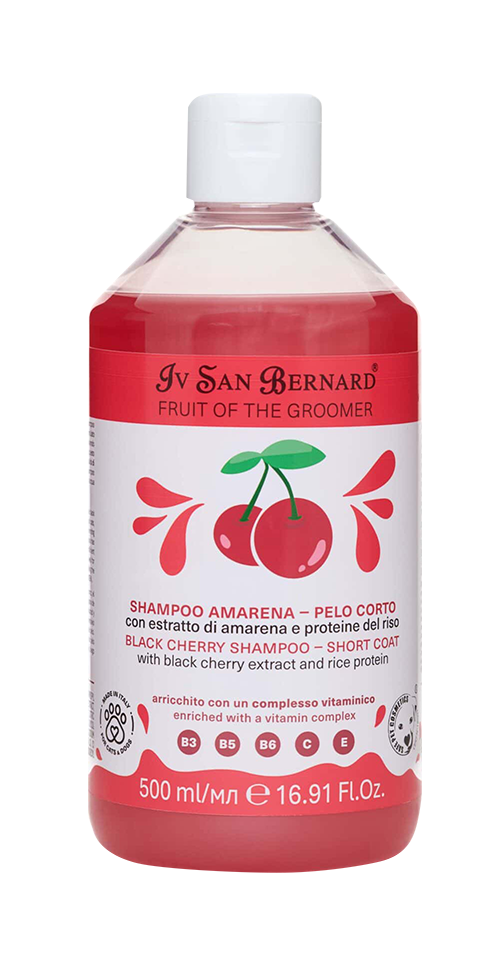 Iv San Bernard Amarena Black Cherry Shampoo für kurzes Fell